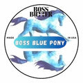 Boss Blue Pony Collection